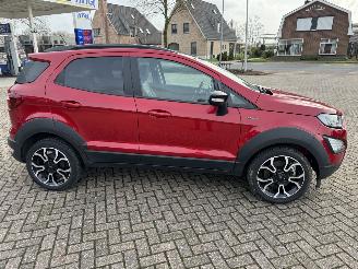 Ford EcoSport 1.0 -125 Pk Active picture 19