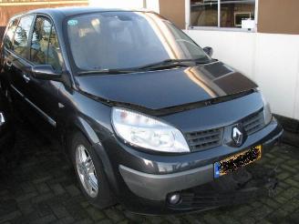 Autoverwertung Renault Grand-scenic 2.0 16v 99kw automaat 2005/1