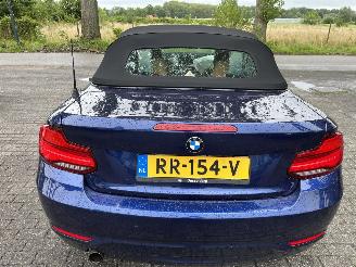 BMW 2-serie 218i  Automaat Cabriolet picture 6