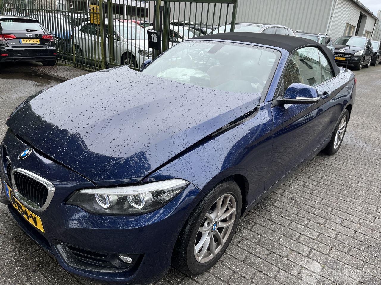 BMW 2-serie 218i  Automaat Cabriolet