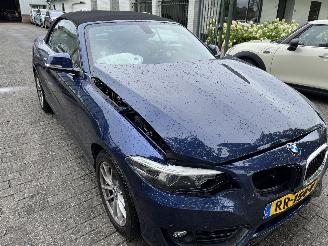 BMW 2-serie 218i  Automaat Cabriolet picture 3