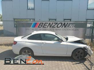 dañado camper BMW 2-serie 2 serie (F22), Coupe, 2013 / 2021 218i 1.5 TwinPower Turbo 12V 2016/9
