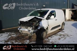 uszkodzony skutery Opel Combo Combo Cargo, Van, 2018 1.6 CDTI 100 2019/6