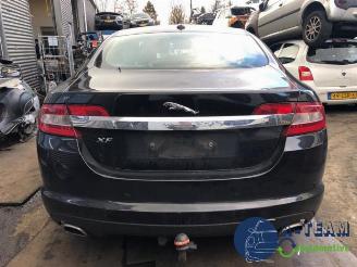 demontáž osobní automobily Jaguar XF XF (CC9), Sedan, 2008 / 2015 3.0 D V6 24V 2010/8