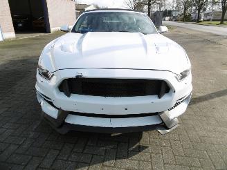 Ford Mustang GT LEER LED NAVIGATIE picture 2
