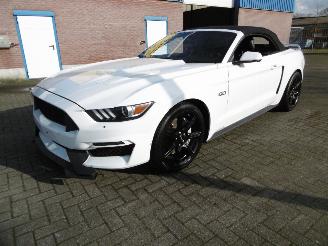 Ford Mustang GT LEER LED NAVIGATIE picture 3