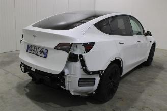 uszkodzony samochody osobowe Tesla Model Y  2022/11