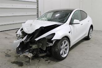 uszkodzony samochody osobowe Tesla Model Y  2023/1