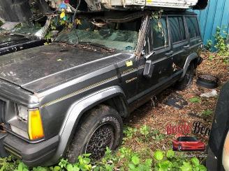 škoda osobní automobily Jeep Cherokee  1990/6